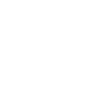 ICS Village logo - transparent background-WHITE