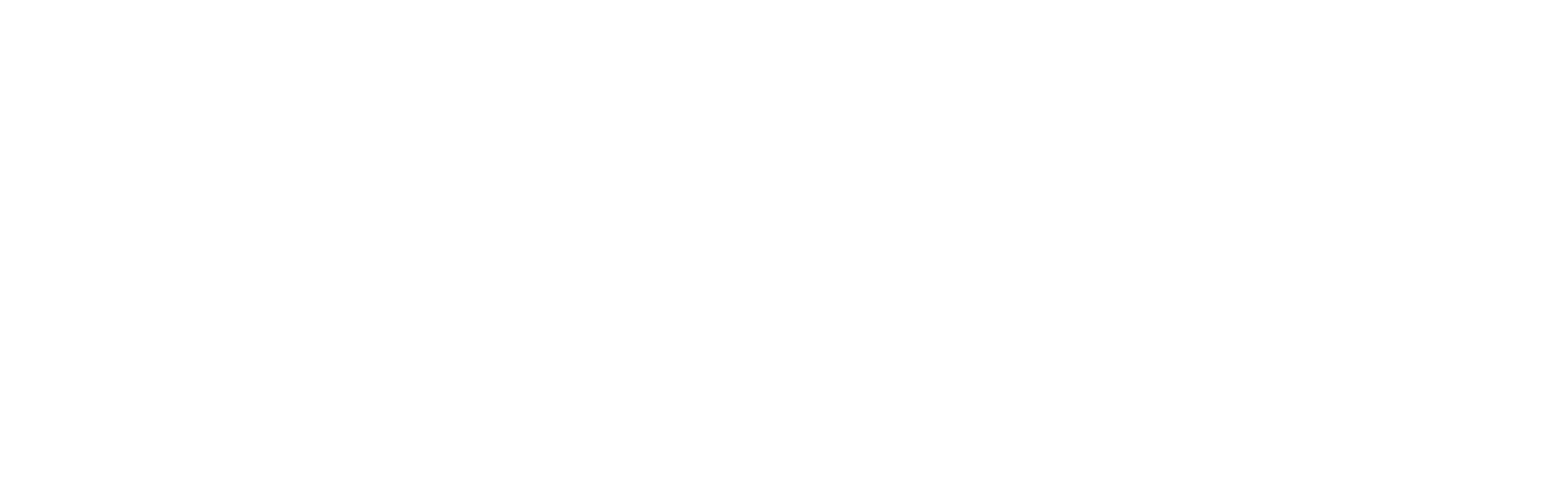National_Cybersecurity_Alliance_white