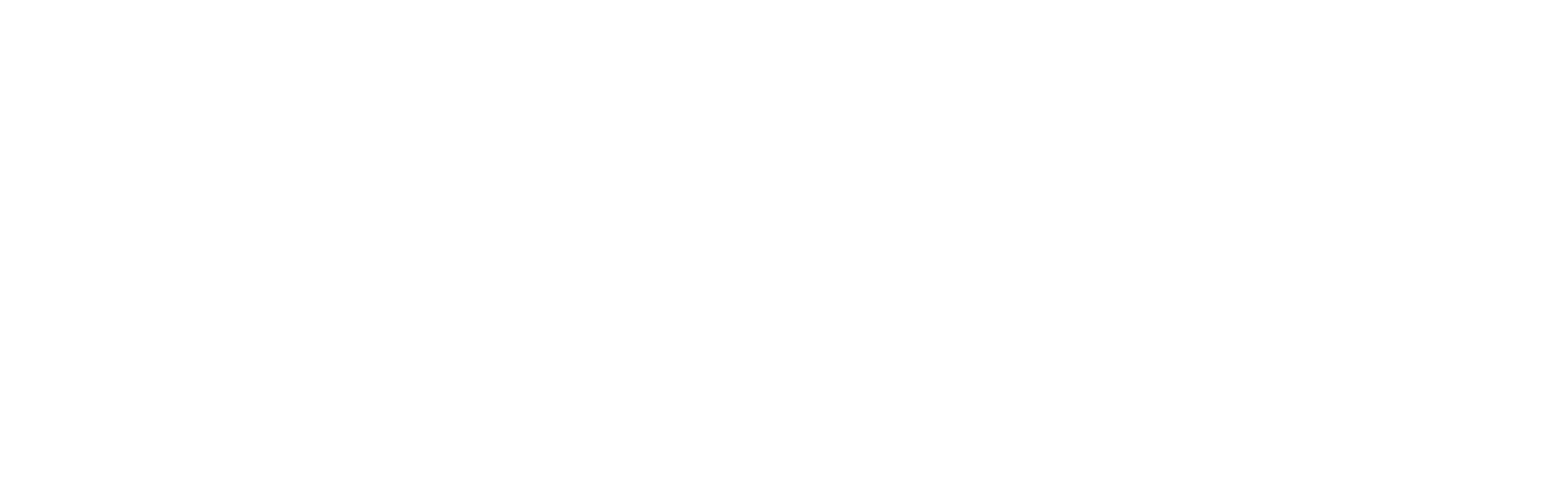 National_Cybersecurity_Alliance_white