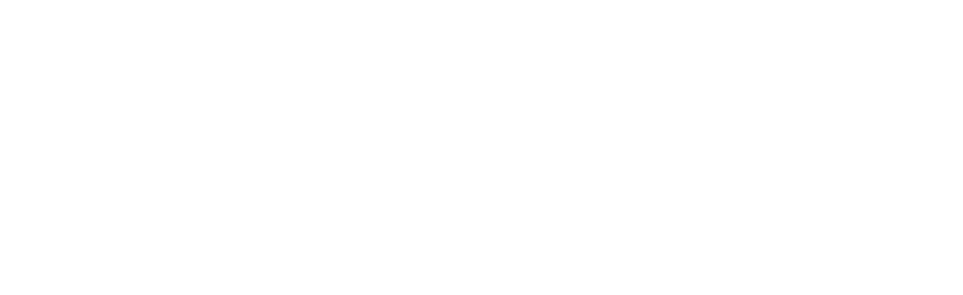 MetaCTFWhite